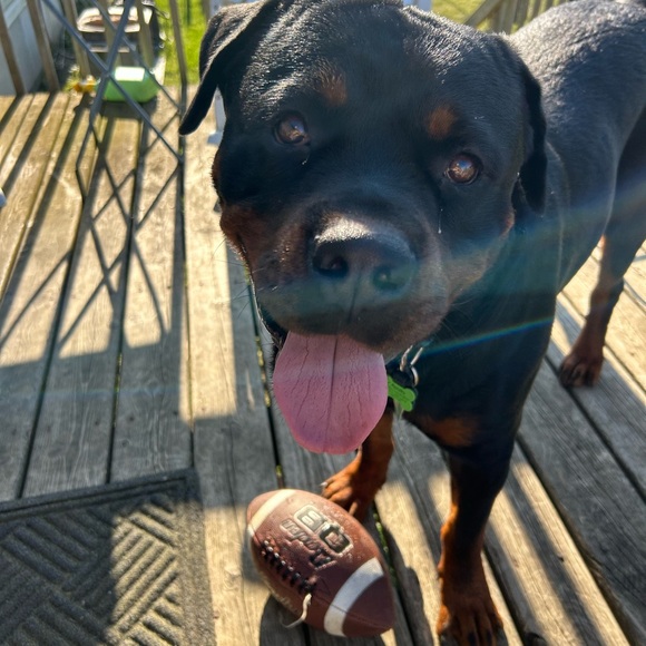 Meet your Posher, Shellie - Picture 6 of 6